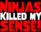 Ninjas Killed My Senei